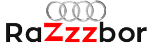 logo_razzzboraudi33